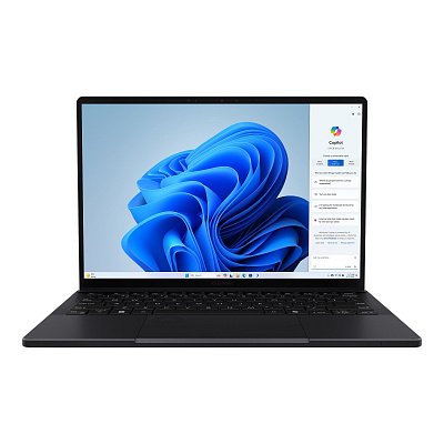ASUS ProArt PX13/HN7306EA-OLED023XZ/AIMAXPLUS-395/13,3"/2880x1800/T/128GB/1TB/AMD int/W11P/Black/2R
