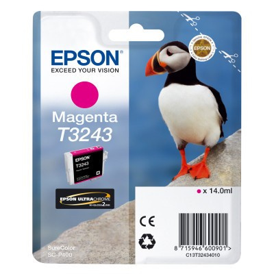 Epson T32434010 magenta (magenta) cartuccia originale