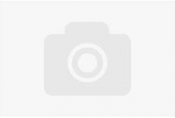 Smart Print FG-S188-E1, filamento 3D, PETG, 1,75 mm, 3000 g, Grigio (Grey)