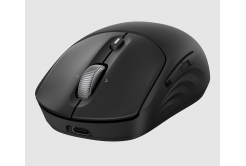 Mouse wireless ricaricabile HP 705