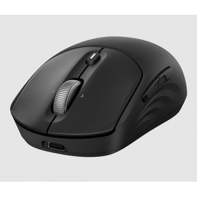 Mouse wireless ricaricabile HP 705
