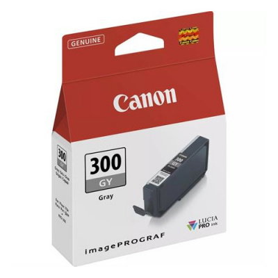 Canon CLI-65GY 4219C001 grigio (gray) cartuccia originale