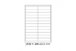 Etichette autoadesive 100 x 23 mm, 24 etichette, A4, 100 fogli