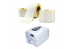 Etichette autoadesive 100x10 mm, 5000pz termico, rotolo