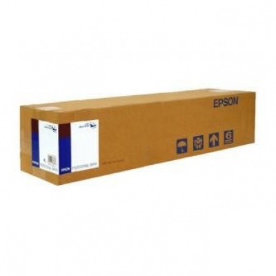 Epson 432/30.5/Photo Paper Gloss, 432mmx30.5m, 17", C13S041892, 250 g/m2, carta, bianco