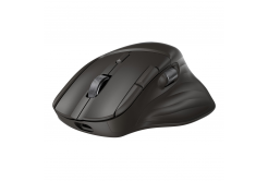 HP Ultra-Fast Scroll Wireless Mouse 785M EURO
