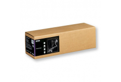 Epson Traditional Photo Paper C13S045054, 300 g/m2, 17", 432mmx15m, bianco, rotolo di carta