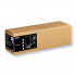 Epson Traditional Photo Paper C13S045054, 300 g/m2, 17", 432mmx15m, bianco, rotolo di carta