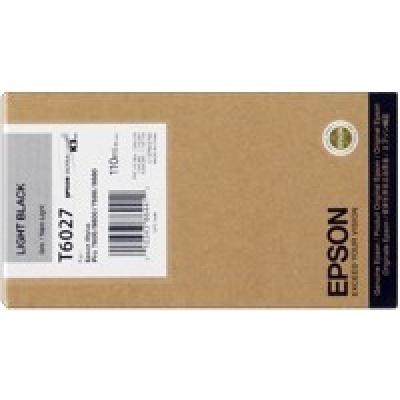 Epson T602700 nero chiaro (light black) cartuccia originale