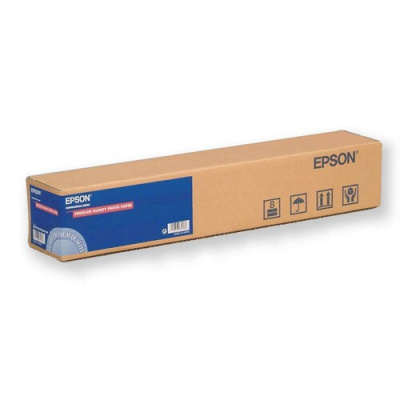Epson Premium Glossy Photo Paper Roll C13S041379, 255 g/m2, 13", 329mmx10m, lucido, bianco, rotolo di carta