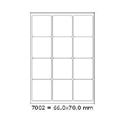 Etichette autoadesive 66 x 70 mm, 12 etichette, A4, 100 fogli 