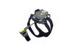 Zebra Back of Hand Mount