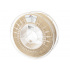 Spectrum 81541 3D filamento, PETG Premium High Speed, 1,75mm, 1000g, Beige (Light ivory)