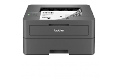Brother HL-L2442DW HLL2442DWYJ1 stampante laser
