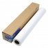 Epson Standard Proofing Paper Roll C13S045007, 205 g/m2, 17", 432mmx50m, bianco, rotolo di carta