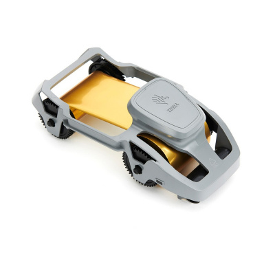 Zebra 800300-306 tintura nastro, Metallic Gold, per 1500 carte