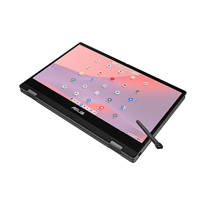 ASUS Chromebook CM14 Flip/CM1402FM2A-EC0319/MTK-520/14"/FHD/T/8GB/128GB/Mali G52/Chrome EDU/Gray/2R