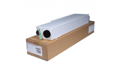 Ricoh 416889 contenitore di scarto originale