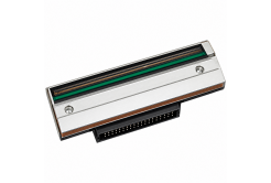 TSC PH-MH241-0001, Testina di stampa, 203 dpi