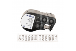Brady M4-141-499 / 170807, 25.40 mm, Nylon, testo nera / sfondo bianco