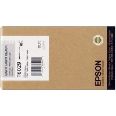 Epson T602900 nero chiaro (light black) cartuccia originale