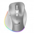 Mouse senza fili, Genius Ergo 9000S Pro 31030039402, argento, ottica, 2400DPI
