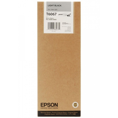 Epson T606700 nero chiaro (light black) cartuccia originale