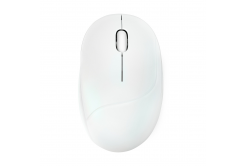 ASUS Fragrance Mouse MD101/Ergonomico/Ottico/2.400 DPI/USB+BT/Bianco