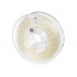 Spectrum 80173 3D filamento, PA6 Low Warp, 1,75mm, 500g, Trasparente (Clear)