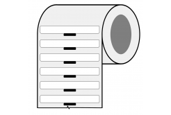 Brady BPT-635-488 / 217091, etichette in carta termica, 48.26 mm x 6.35 mm