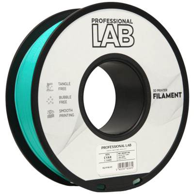 Professional Lab FG-P196-E1, filamento 3D, PETG, 1,75 mm, 1000 g, Azzurro (Cyan)