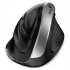 Genius Myš Ergo 8250S 31030031401, 1600DPI, 2.4 [GHz], ottica, 6sp\., senza fili, nero\-argento, 1 pz AA, vertikální