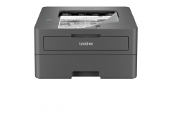 Brother HL-L2402D HLL2402DYJ1 stampante laser