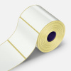 Etichette autoadesive 100x100 mm, 500 pz carta per TTR, rotolo