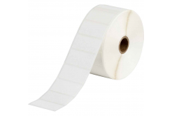 Brady THT-17-498-1.5-SC / 116414, etichette in carta termica, 50.80 mm x 25.40 mm