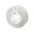 Spectrum 81545 3D filamento, PETG Premium High Speed, 1,75mm, 1000g, Grigio chiaro (Light grey)