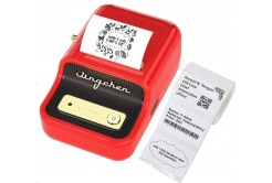 Niimbot B21 Smart 1AC13082002 stampante di etichette, rosso + rotolo di etichette