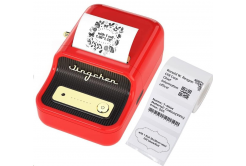Niimbot B21 Smart 1AC13082002 stampante di etichette + rotolo di etichette