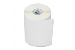 Dymo 2166659, 210mm x 102mm, bianco etichette di carta