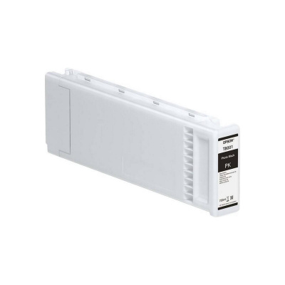 Epson T8001 C13T800100 foto nero (photo black) cartuccia originale