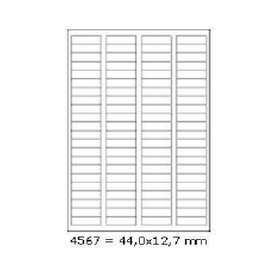 Etichette autoadesive 44 x 12,7 mm, 88 etichette, A4, 100 fogli