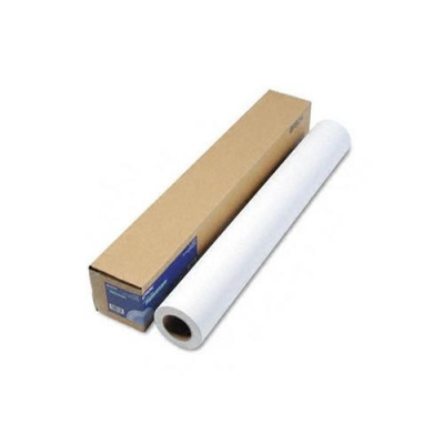 Epson Premium Glossy Photo Paper C13S042076, 170 g/m2, 16", 419mmx30.5m, lucido, bianco, rotolo di carta