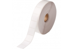 Brady BPT-164-481 / 804784, etichette in carta termica, 22.86 mm x 22.86 mm